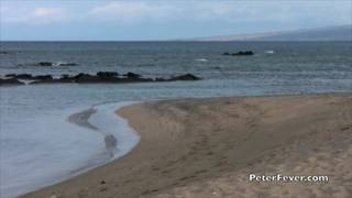 Gay asiatico prende un bagno di sole nudo a Hawaii