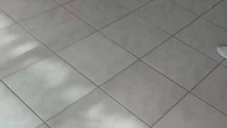 Verifica la tua età