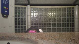 In qualsiasi bagno pubblico questa francese si riprende mentre si masturba