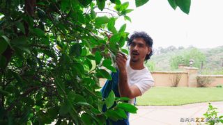 Verifica la tua età