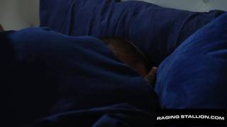 Verifica la tua età