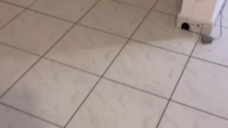 Verifica la tua età