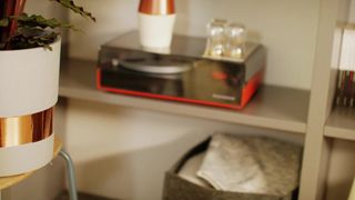 Verifica la tua età