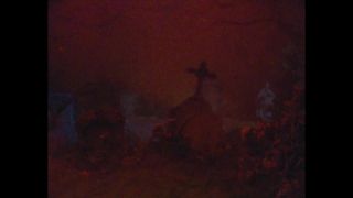 Verifica la tua età